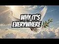 What Dove of Freedom Symbolism REALLY Means And Why It s Everywhere