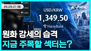 환율 급락에 비상 걸린 K-주식! 환율 쇼크 뚫고 오를 실적 알짜배기 총정리