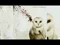 [EGxHC] Buried In Spring - Buried In Spring - 2026 (Full EP)