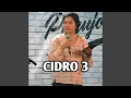 CiDRO 3
