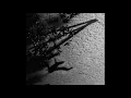 Richter: Written on the Sky - Max Richter