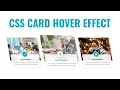CSS Card With Hover Animation HTML CSS