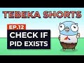 Tebeka Shorts Check If PID Exists