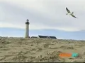 Nick Jr Explore The Shore Lighthouse