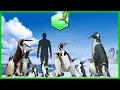 Comparison Size of Penguins
