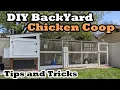 DIY Backyard Chicken Coop - Our Tips and Tricks