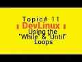 Bash Shell Scripting - Topic 11