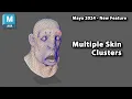 Facial rigging with Multi-Skin Cluster Maya 2024 New Feature