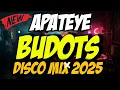 Lagu NEW APATEYE BUDOTS DISCO MiX 2025💃