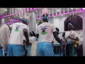 Download Lagu Nasir-gemeenschapscultuurdansgroep (Caïro, Egypte)