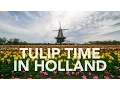 Tulip Time In Holland Pure Michigan