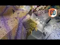 The HIGHEST Climbing Wall In England Climbing Daily Ep 1424