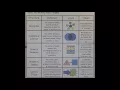 Text Structure Foldable Overview