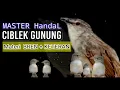Download Lagu MASTERAN CIBLEK GUNUNG \