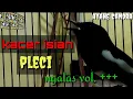 Download Lagu Kacer isian pleci suara keras mantap