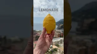 اوه لیموناد  لیموناد  لیمو  درخت لیمو دندنها