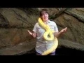 Creature Feature Burmese Pythons