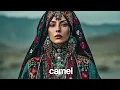 Muhammed Felfel - Wall of Memories (Cafe De Anatolia)