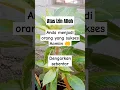 Download Lagu ayat suci al-quran #murottal #viral #quran #quranrecitation #sholawat #islam