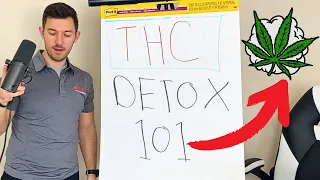 Understanding THC Detox Timelines Drug Testing
