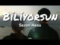 Sezen Aksu - Biliyorsun ( Lyrics - Sözleri )