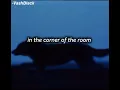 whirr - under the same name (lyrics)