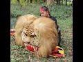 Download Lagu Reog ponorogo Bikin Konten #reog #ganongan #jathilan #barongan #reogponorogo #traditional #tradisi
