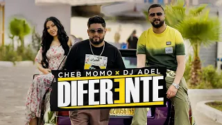 Cheb Momo X Dj Adel Diferente Official Music Video 2024 