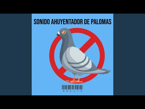 Download MP3 Sonido Ahuyentador De Palomas