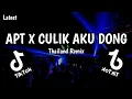 Download Lagu APT X CULIK AKU DONG X THAILAND STYLE REMIX 2025