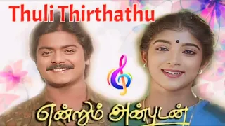 thulli thirinthathoru endrum anbudan ilayaraja high quality song