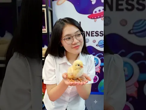 Tugas Netesin Telur! Telurnya Udah Direbus, Gak Bakal Menetas!