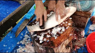 🔴 LIVE Now Big Fish Cutting 🐟🔪Insane Fish Cutting Skills 😱 You Must Watch!