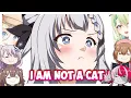 Download Lagu Six minutes of Hololive Members trying to convince Zeta that she is a CAT...