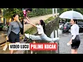 Lagu Kumpulan Video Lucu Paling Kocak \u0026 Paling Konyol Bikin Ngakak | Komedi Lucu #funnyvideo 