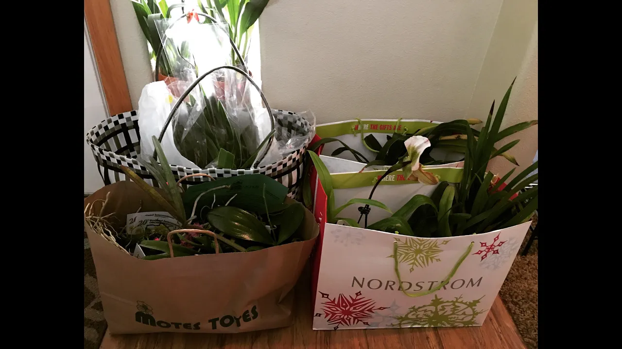 ORCHID HAUL OREGON ORCHID SHOW & SALE 2016