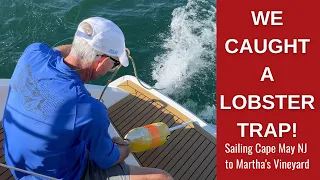 WE SNAGGED A #LOBSTERTRAP WHILE #SAILINGTOMARTHASVINEYARD