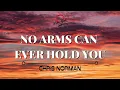 NO ARMS CAN EVER HOLD YOU- Chris Norman ( Lyrics Video )