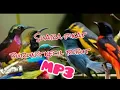 Download Lagu Suara pikat Burung Ribut Anti Zonk