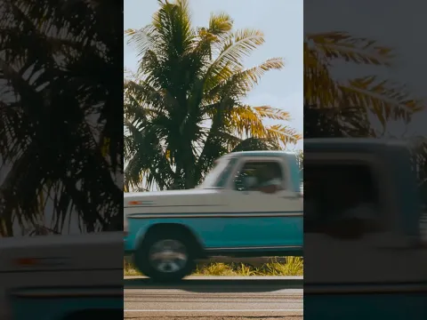 SOJA x Kolohe Kai