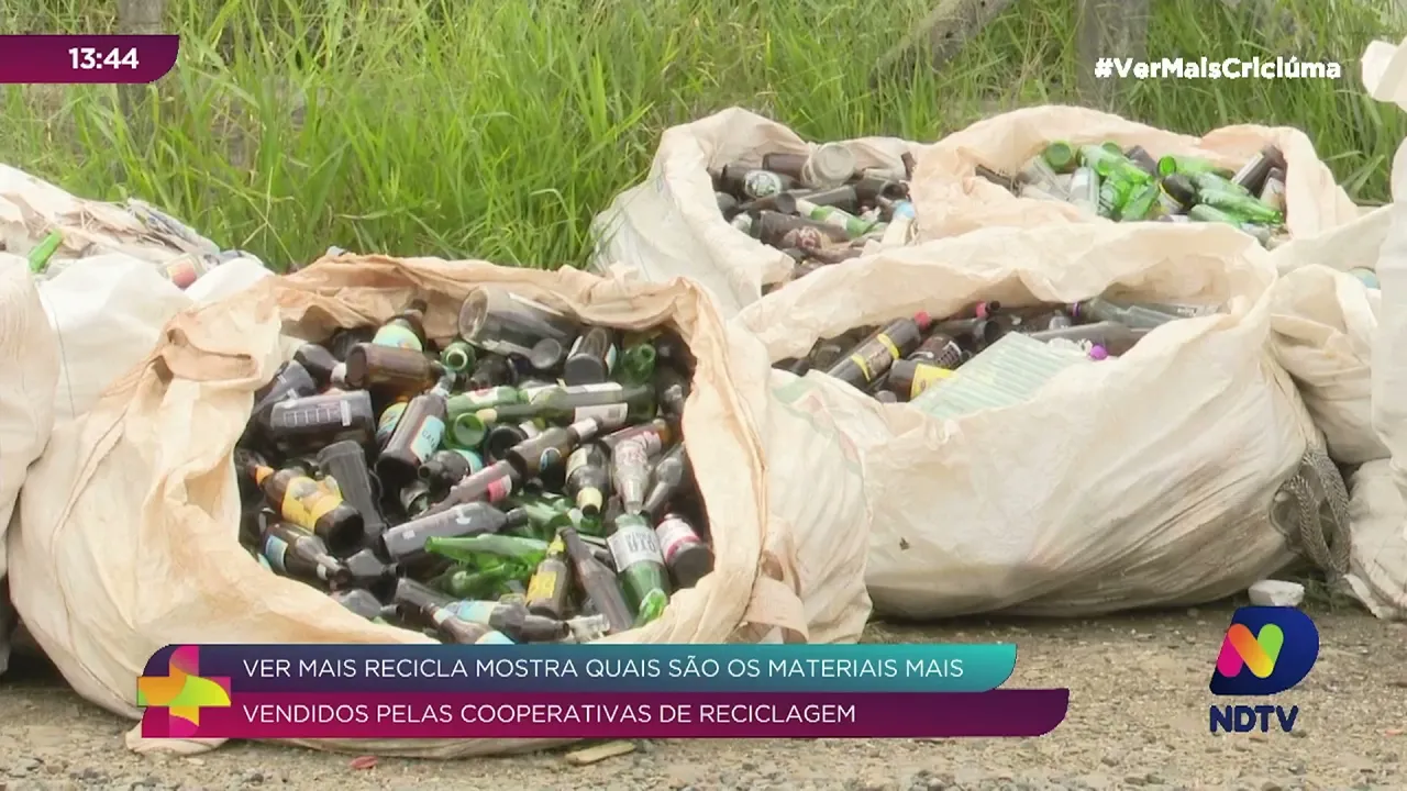 Ver Mais Recicla: conheça os materiais mais vendidos por cooperativas de reciclagem