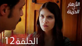 الأزهار الحزينة الحلقة 12 كاملة Kırgın Çiçekler 