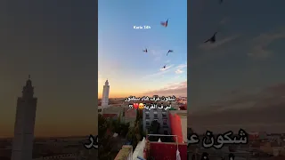 شكون عرف هاد سكتور Music Karia Moroco Kom Com القرية سلا المغرب Rabat Fyp 