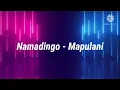 Lagu Namadingo - Mapulani lyrics