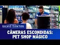 Download Lagu Pet Shop Mágico - Magic Pet Prank | Câmeras Escondidas (19/11/17)