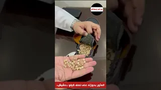  المكافحة  تضبط تاجرا يدس      حبة  كبتي  بقاع حذائه دندنها