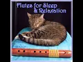 Sleep Journey - Lullaby Tribe & Jessita Reyes