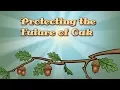 Protecting the Future of Oak