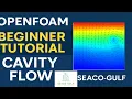 OpenFOAM Beginner Tutorial - Lid Driven Cavity Flow Simulation
