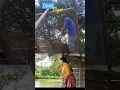 Download Lagu Demi nyai#viralvideo#pertukangan#motivation#madura